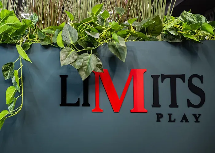 公寓 Bdsm Play 维尔纽斯