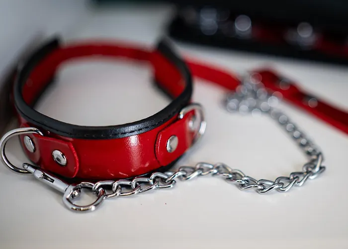 Bdsm Play Appartamento Vilnius