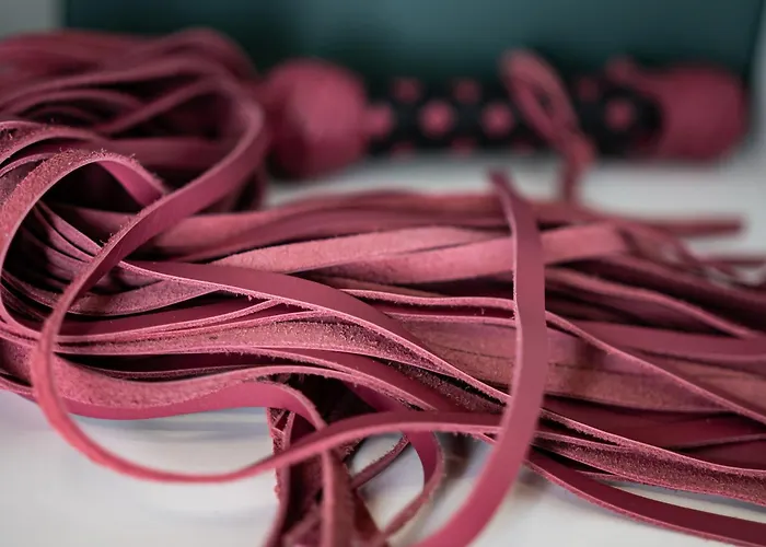 Bdsm Play 维尔纽斯